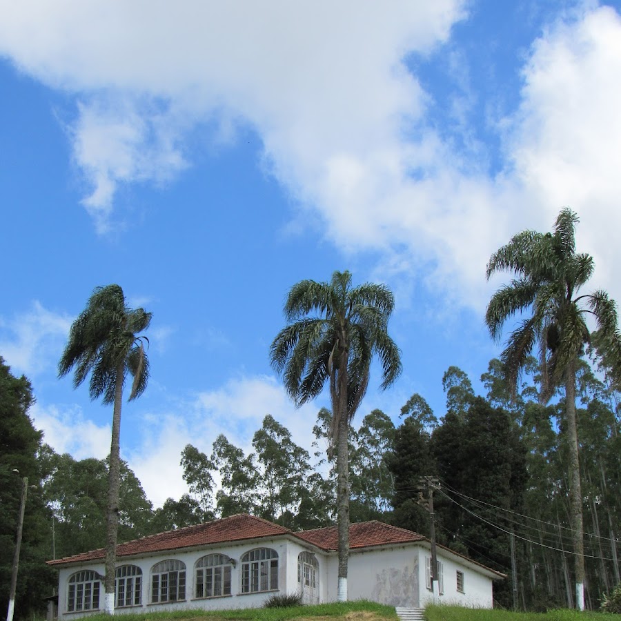 Vila Elvio