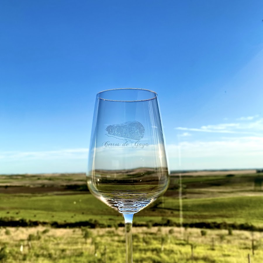 Vinícola cerros de Gaya