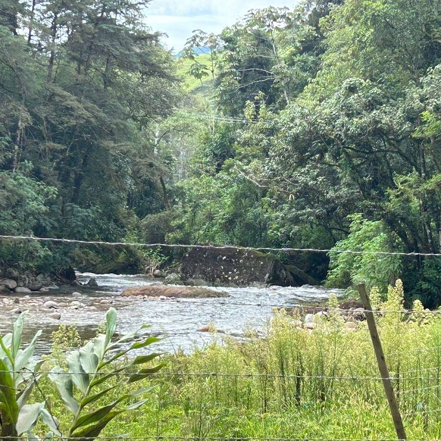 Visconde de Mauá