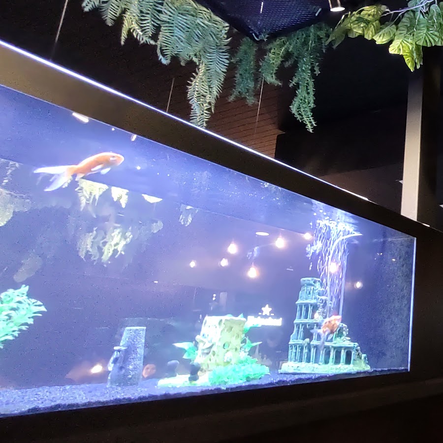 Wakai sushi bar