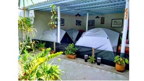 Ypê Branco Camping Conforto