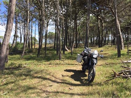 Acampamento selvagem