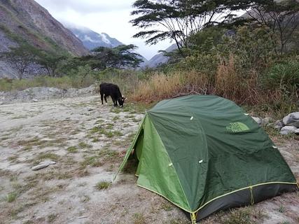 Acampamento selvagem perto de Cocalmayo