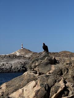Acampamento selvagem com vista para o farol
