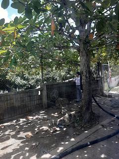 água potável