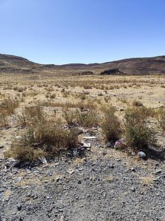 Al costado de la ruta