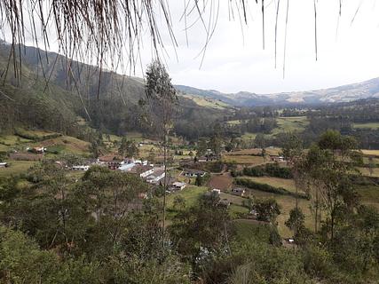 Angochagua