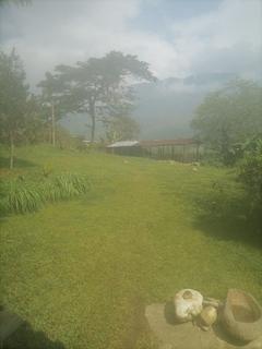 Arca Viva