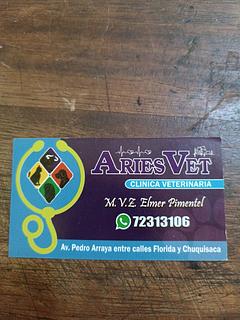 Aries Vet