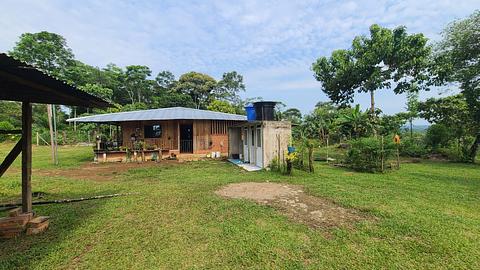 Ayahuasca e camping