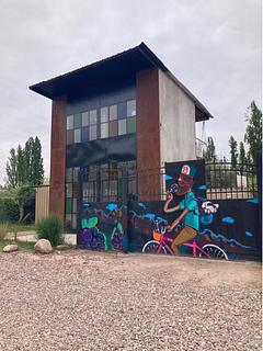 Baccus Wine Tour