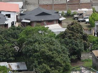 Backpacker Great Hostel