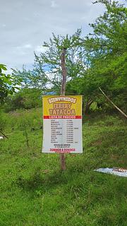 Balsa para Tatacoa