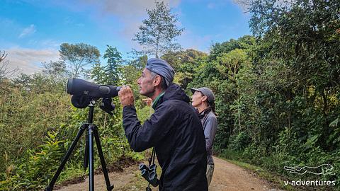 Bird Paradise Tours Mindo