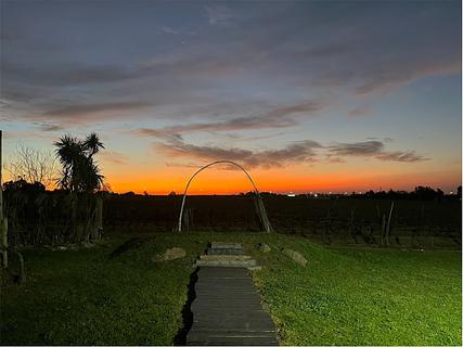 Bodega Familia Moizo