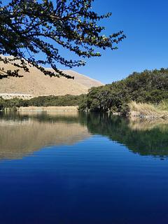 Bosque del Amor