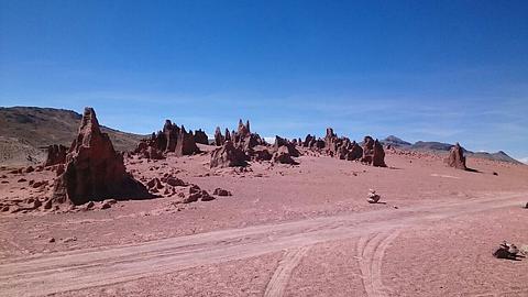 Bosque del piedras/formações rochosas