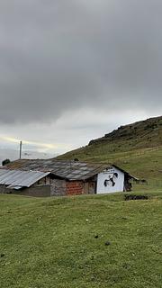 Cabaña verde