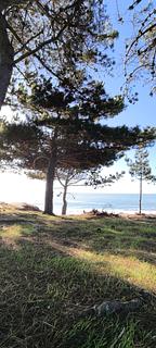 Caleta de Pellines