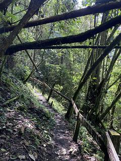 Caminhada até as Cascadas de Cocora