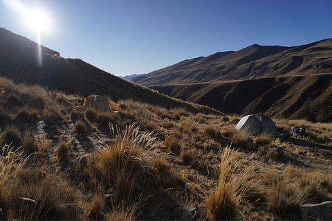 camp in a field