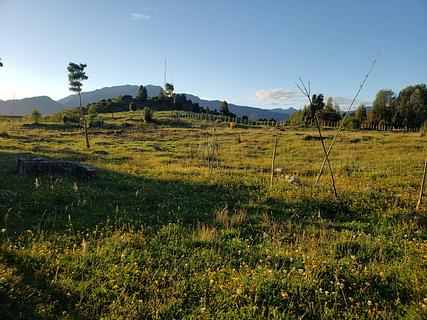 Camping el puma