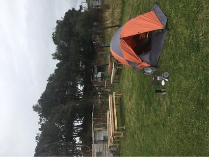 Camping El Tronco