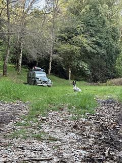 Camping municipal