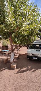 Camping Municipal Ranquil Norte