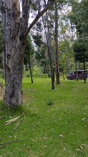 Camping Oasis del roble