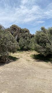 Camping Olivos Doña Sonia