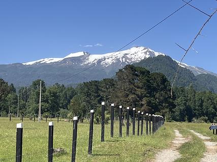 Camping Pullilafquen