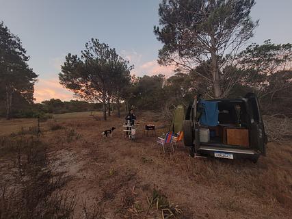 Camping selvagem