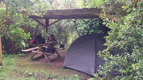 Camping y Cabañas Nativos
