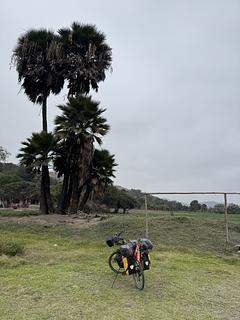 Campo de Futebol