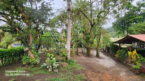 Canopy Adventure
