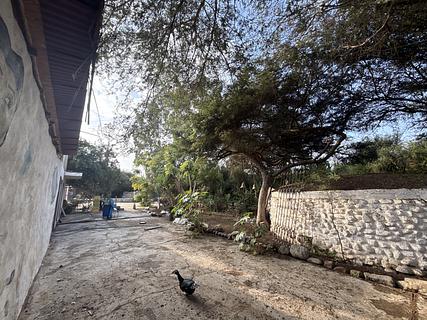 Caraltambo Eco-Camp