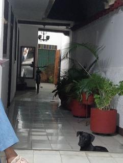 Casa Feliz
