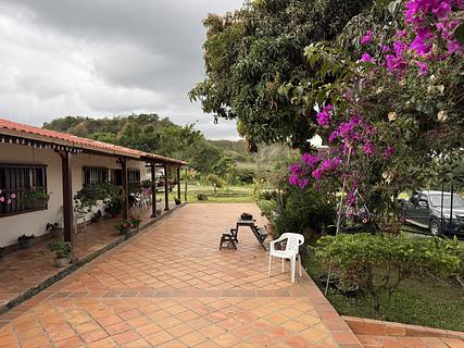 Casa Real