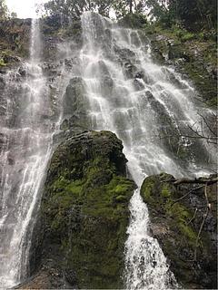 Cascade los micos