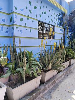 Casita Libertad Barranco