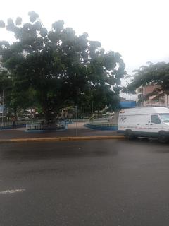 Central Park