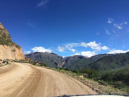 Checkpoint For COLCA