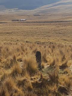 Comanche - West Side of Road