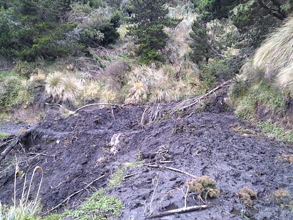 Deslizamentos de terra e árvores caídas