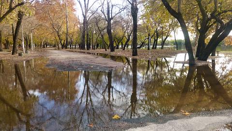 Dolores free camping