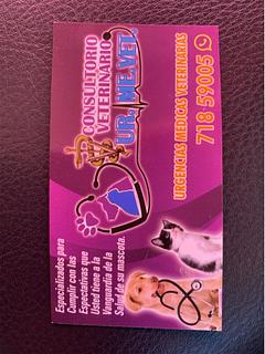 Dr. Miguel Angel -Veterinario UR.ME.VET