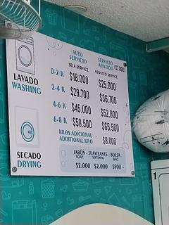 Edición Los delfines Laundry oasis