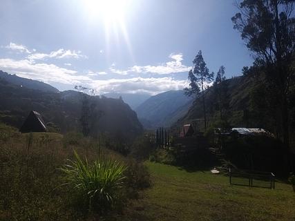 El avispero house