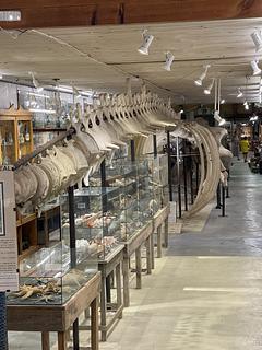El Museo Del Mar